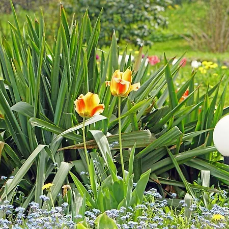 W Bystrej * Bystra (Bielsko)