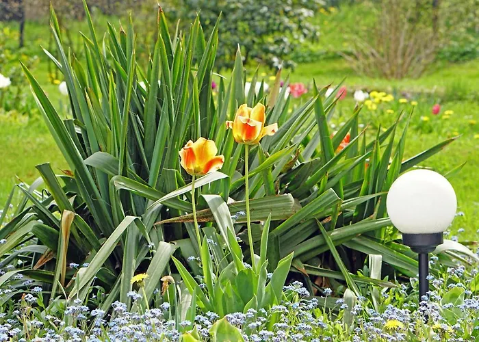 W Bystrej * Bystra (Bielsko)